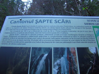 Sapte Scari