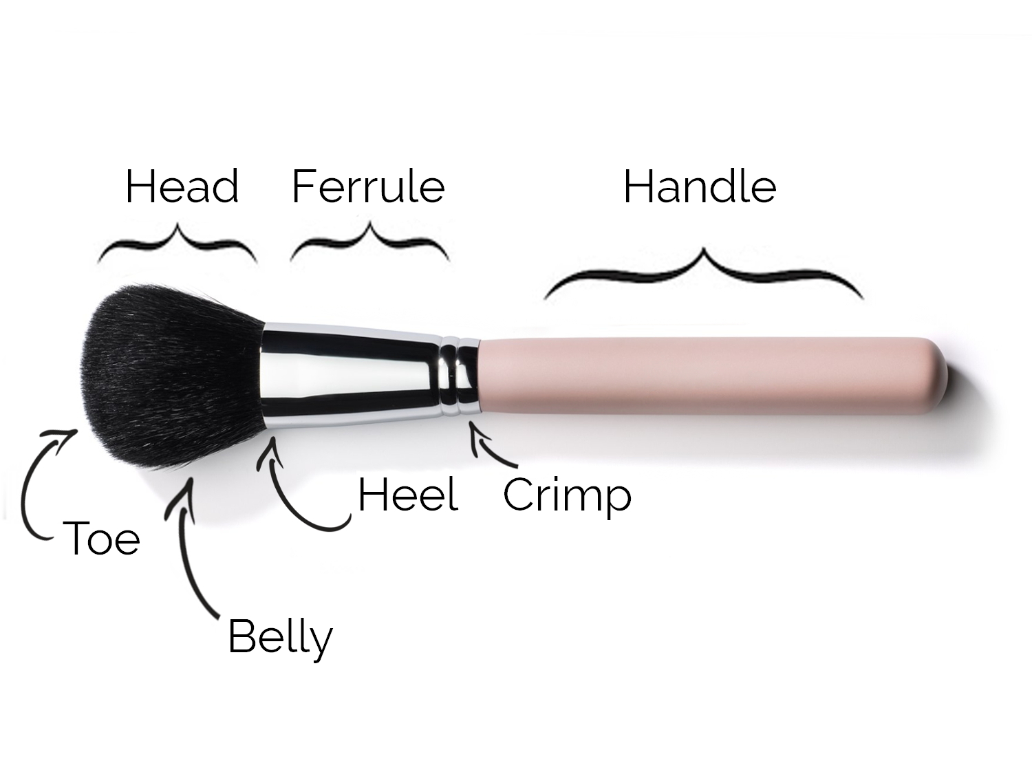 Makeup Brush Anatomy & How Brushes are Made?  Makeup Theory  January Girl