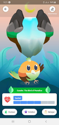 pet mission