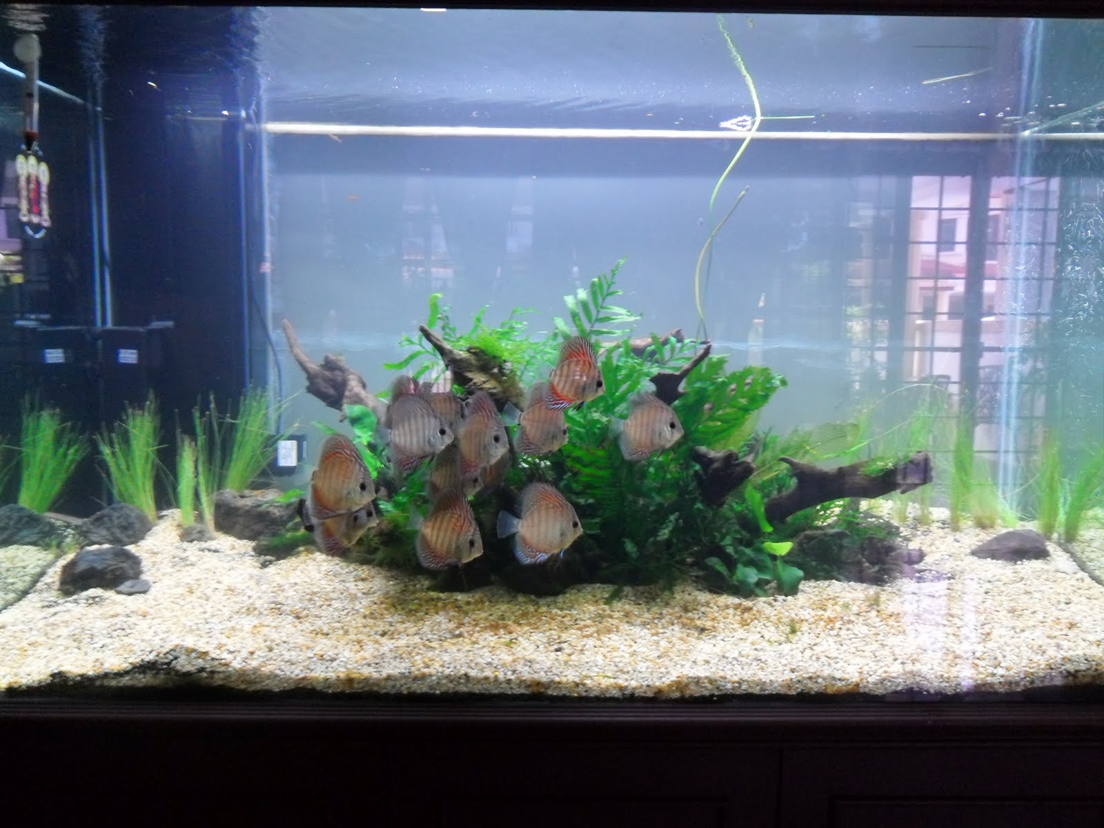 aquascape hot water pump