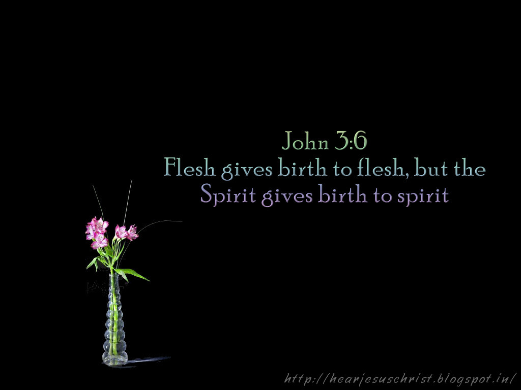 Christian Wallpapers: Bibel Verse Wallpaper - John 3:6