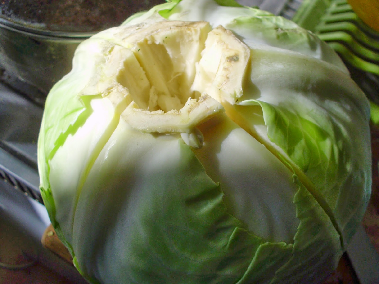 Balkan Veggie: Liberty cabbage