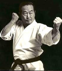 ketua umum dalam karate