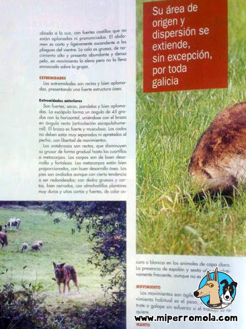 Can de Palleiro en la revista El Mundo del Perro