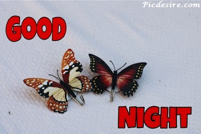 Top 101 Good Night Images || Best Good Night Images Top 101 Good Night Images || Best Good Night Images