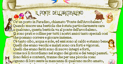 Sono sul Ponte dell'Arcobaleno... OKANiMALi