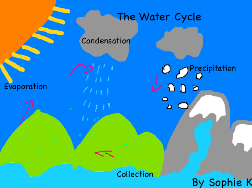 Draw And Label The Parts Of The Water Cycle