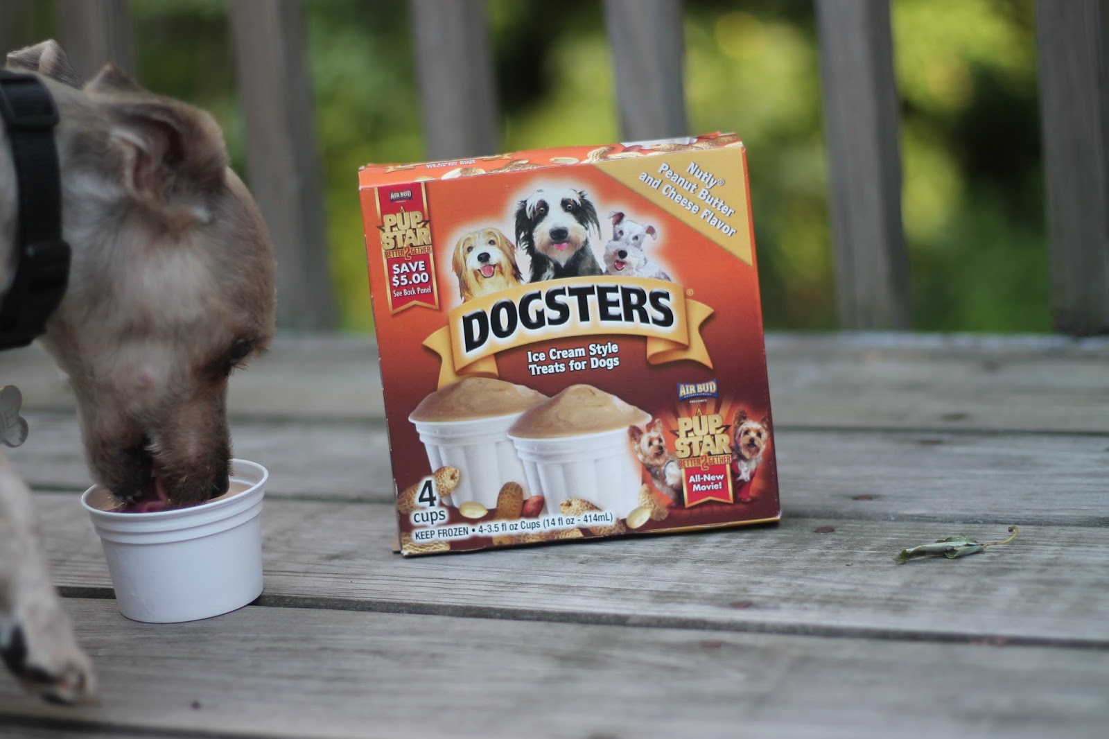 Dogsters Review Ice Cream Style Treat for Dogs Simply Tasheena