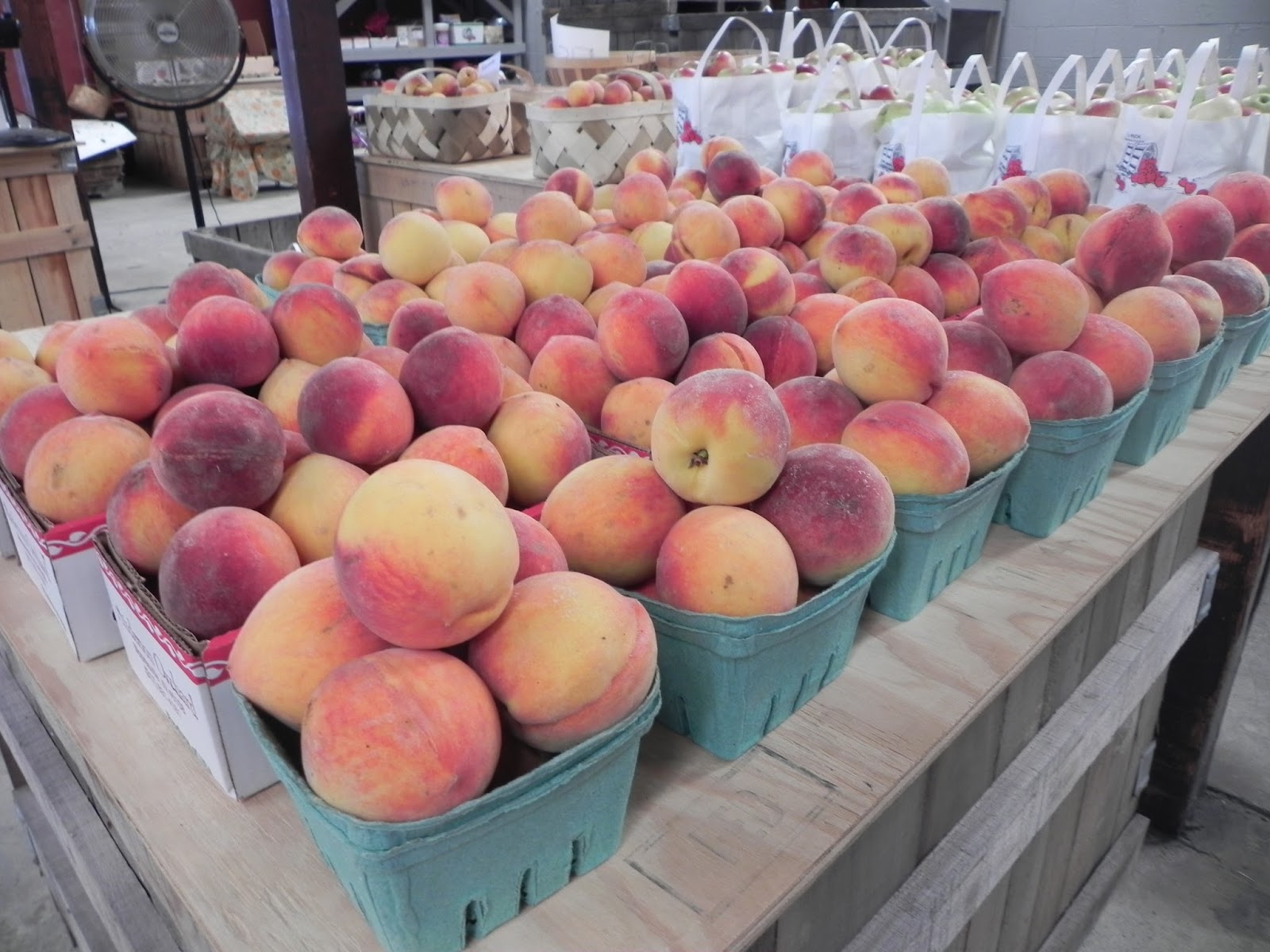 Orchard Wanderings Whimsy Words of Wisdom