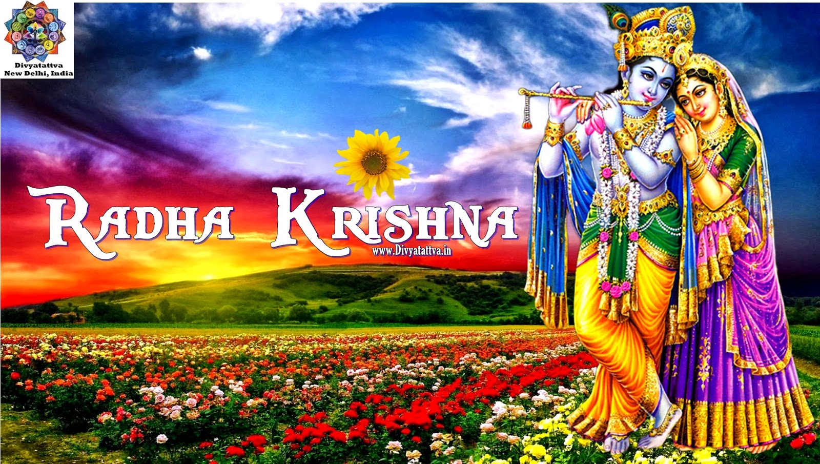 Lord Krishna 4K Wallpapers  Top Free Lord Krishna 4K Backgrounds   WallpaperAccess