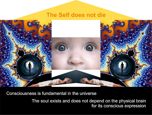 https://www.galileocommission.org/the-self-does-not-die/