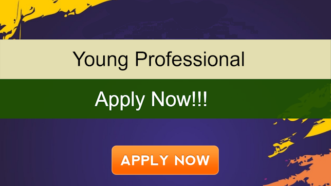 Young Professional at Ministry of Textiles, New Delhi