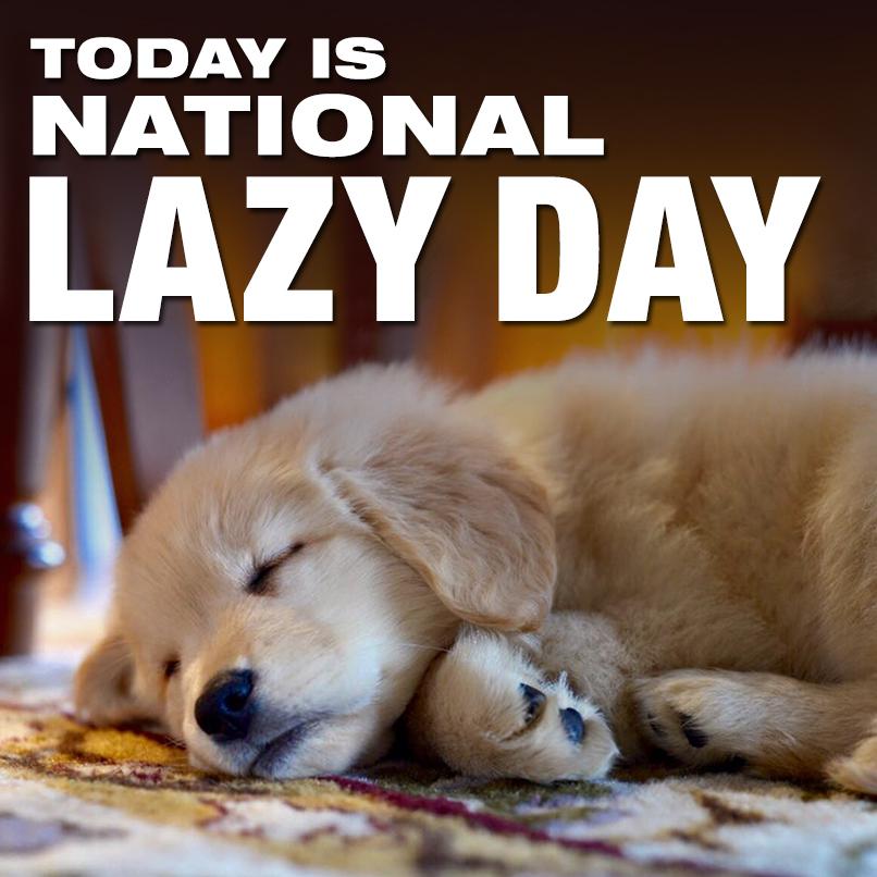 National Lazy Day