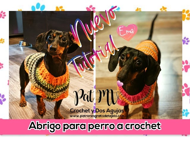 doce quemado a nombre de Abrigo para perro a crochet 🐶 | Tutorial