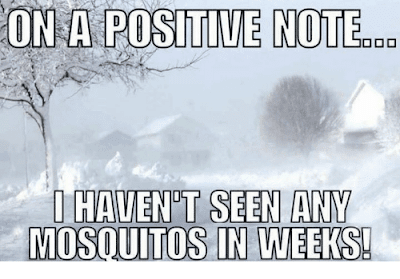 on-a-positive-note-havent-seen-any-mosquitos-in-weeks-30388062.png