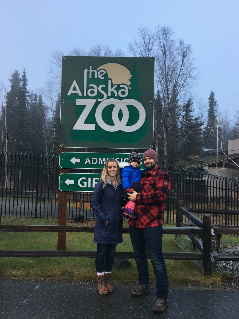 A Walk Through the Alaska Zoo To & Fro