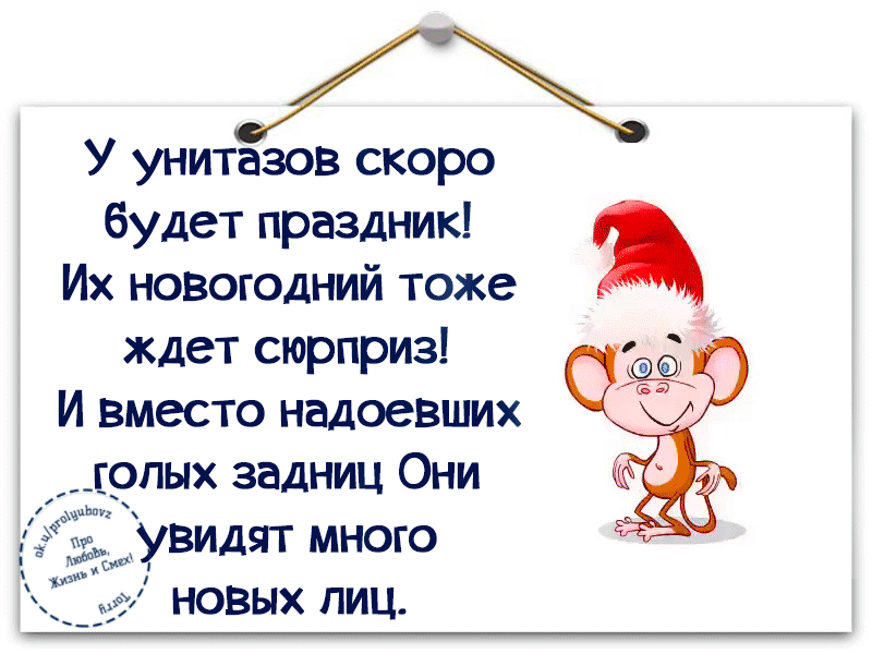 омар хайям цитаты. статусы юмор. статусы с н г. новогодние стишки юмористические. новогодние картинки с цитатами.