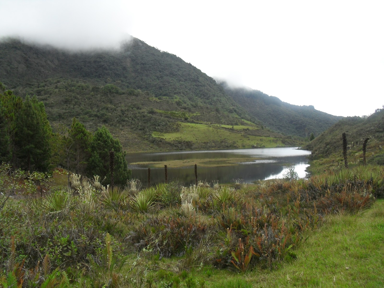 Laguna De Cácota