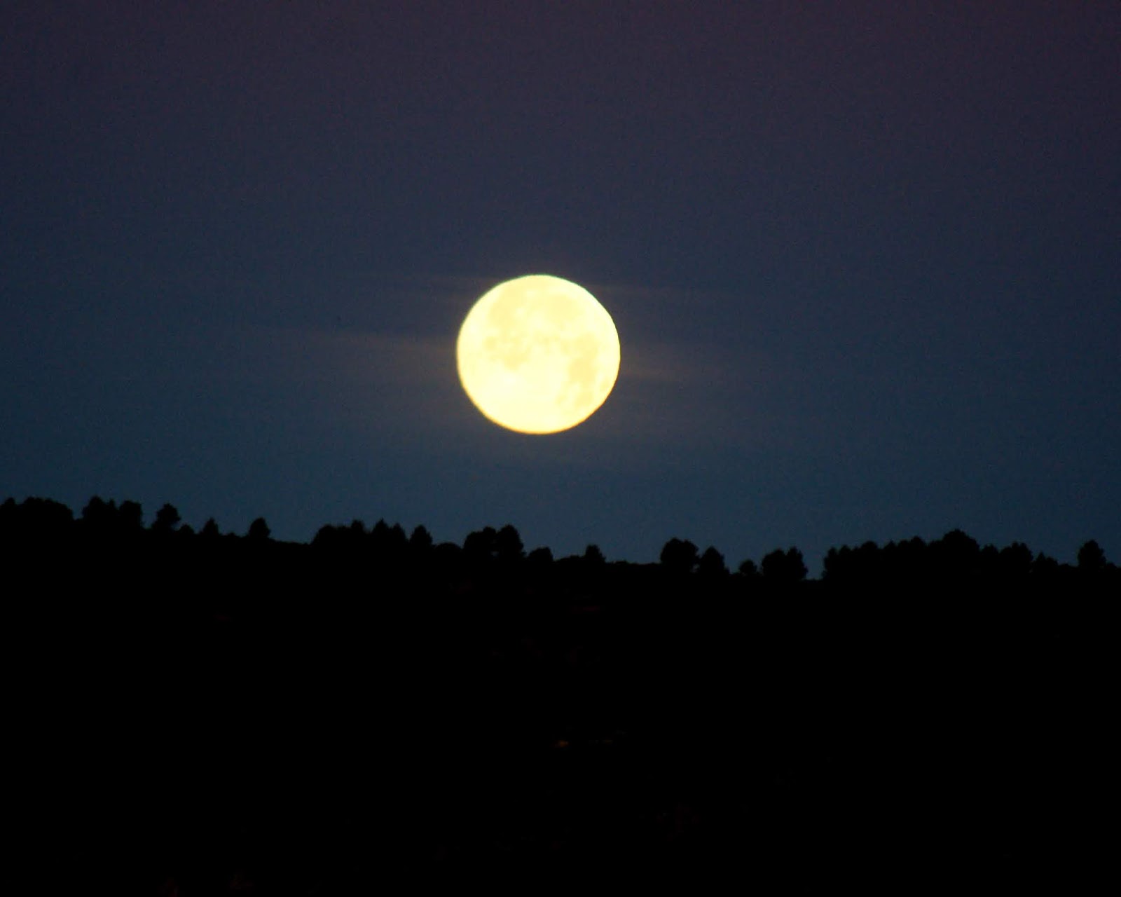 Photoinvestigacionchema Luna llena Florida. Plenilunio del mes de mayo.