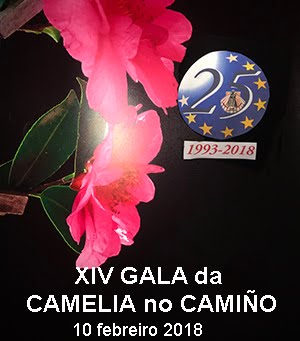 XIV Gala Camelia