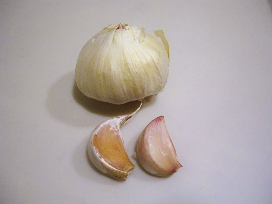 El cultivo de ajos
