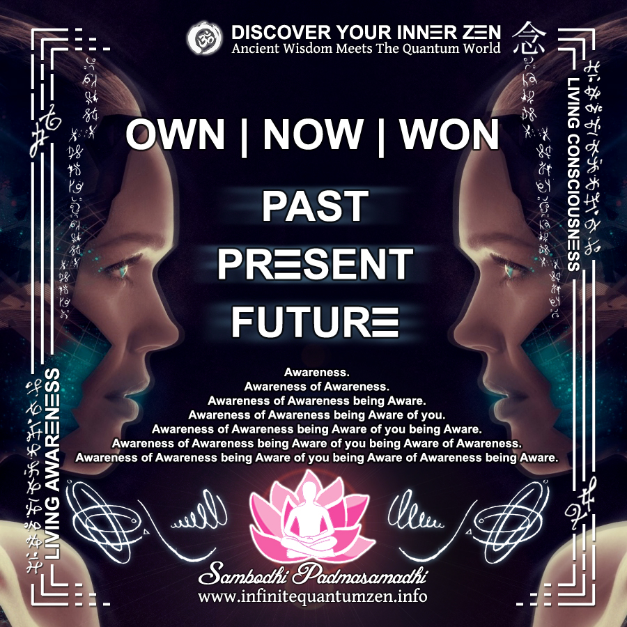 Own Past, Now Present, Won Future, Multidimensional Code - Infinite Quantum Zen, Success Life Quotes