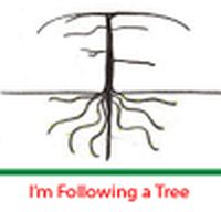 Food For Thought: TREE FOLLOWING.....