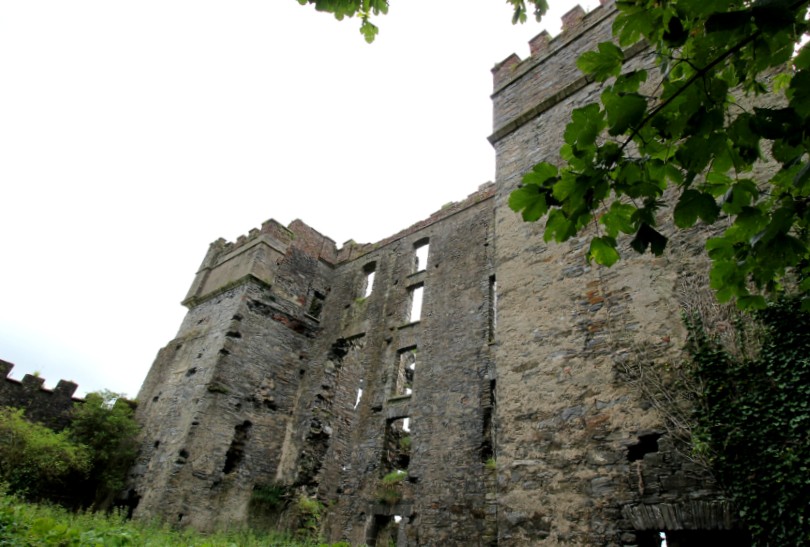 Donegal Raphoe and Oakfield Park Purity Belle Environmental Blog