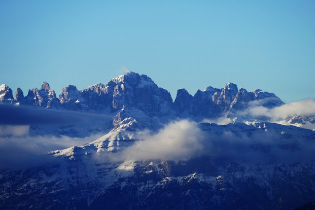 il respiro degli alberi