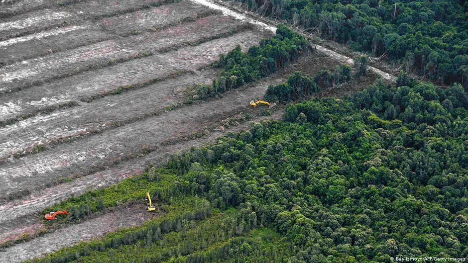 Indonesia-Dianggap-Lebih-Maju-untuk-Urusan-Perlindungan-Hutan-Padahal