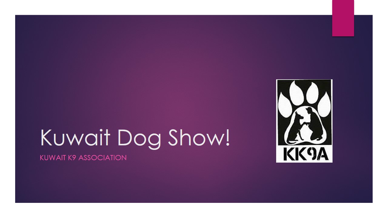 Desert Girl on Kuwait Kuwait K9 Association hosts Kuwait Dog Show this