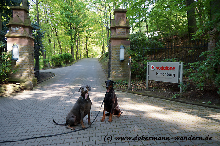 Jolinas Welt Wanderung Von Bad Munster Auf Den Rheingrafenstein