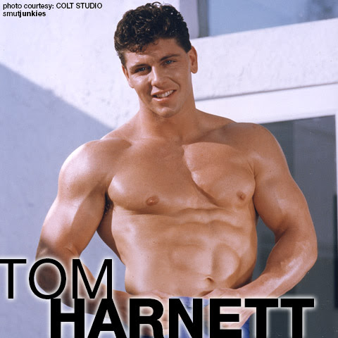 RETRO STUDS: TOM HARNETT 