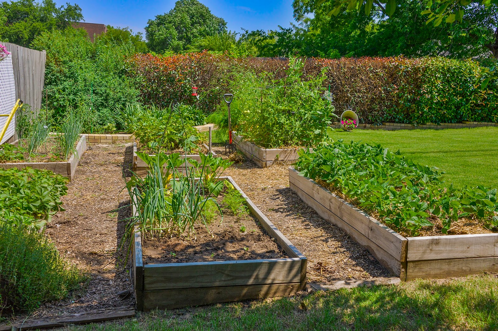 Ask A Master Gardener: Advantages of Raised Bed Gardening