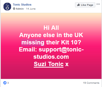 Missing Tonic Craft Kit 10 UK monthly subscription box