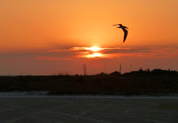 august sportsmen devotional