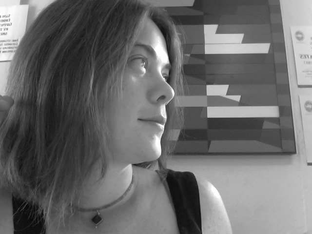 Yellow Springs Arts: Ever Been to Sarah Strong's Studio