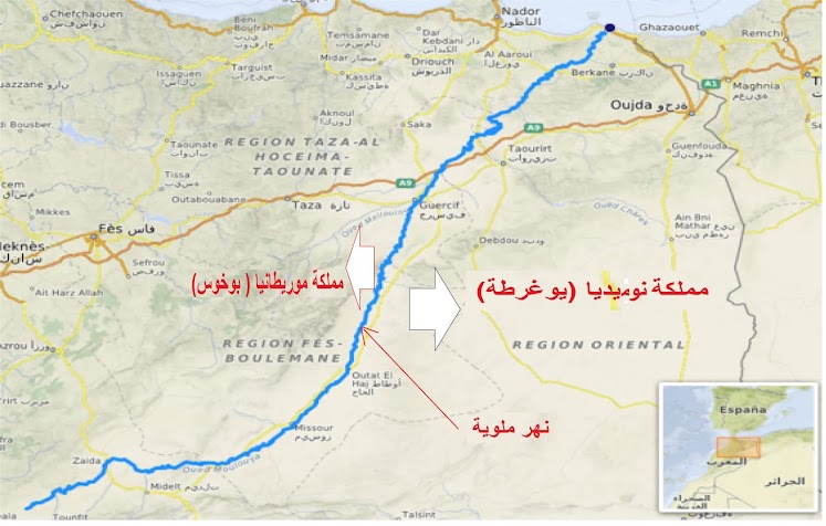 الاحتلال الفرنسي لارض فرنسا علم الجينات و التاريخ يؤكد %25D9%2585%25D9%2584%25D9%2588%25D9%258A%25D8%25A9%2B1
