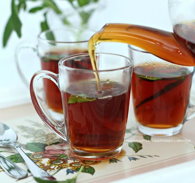 Cỏ ngọt stevia cho người đái tháo đường