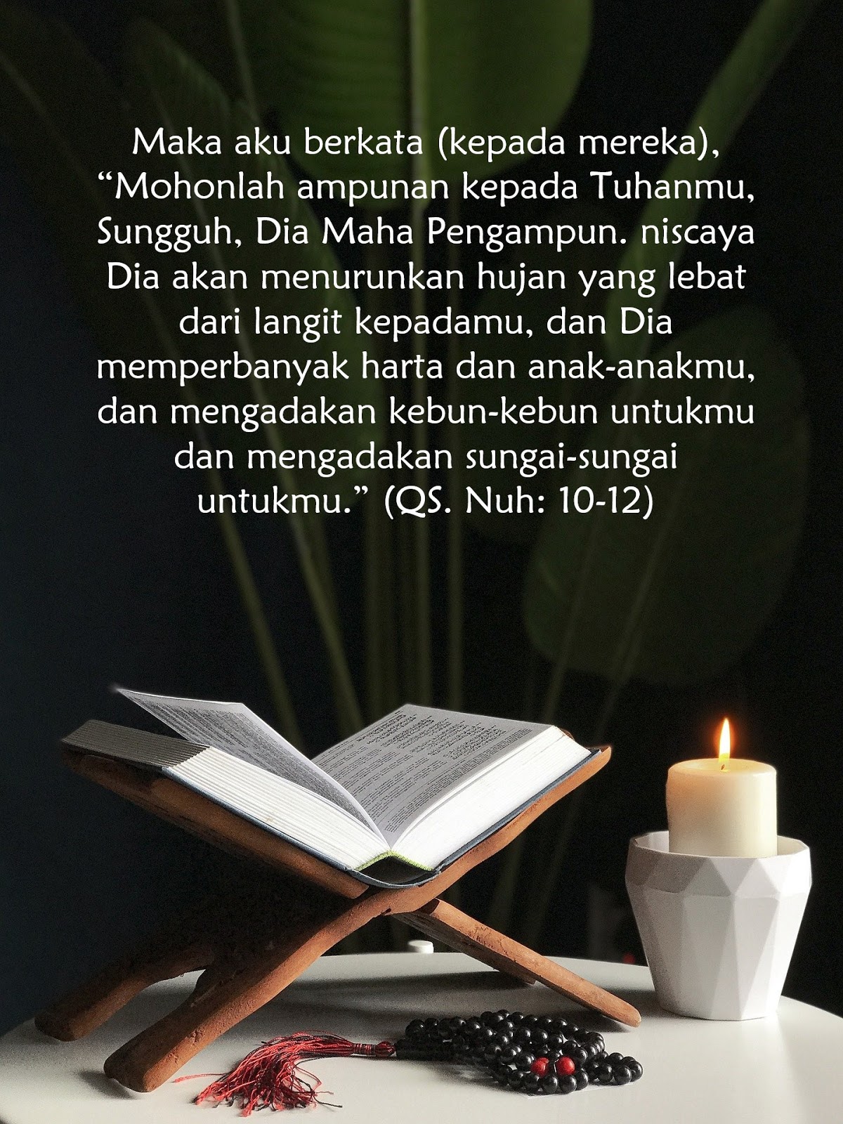 Cek Surah Nuh Dan Artinya | Learn Moslem Surah