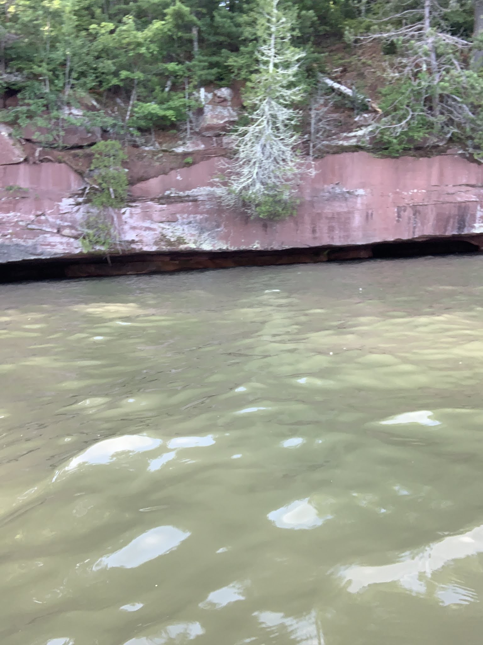 MN Johnny Kayak Adventure Blog