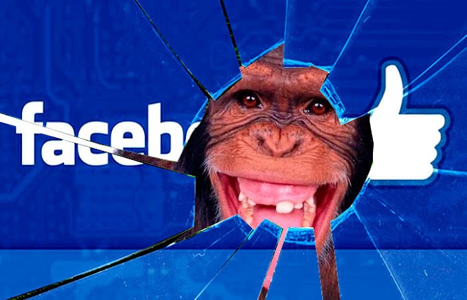 Dicas para não pagar mico ao usar o Facebook
