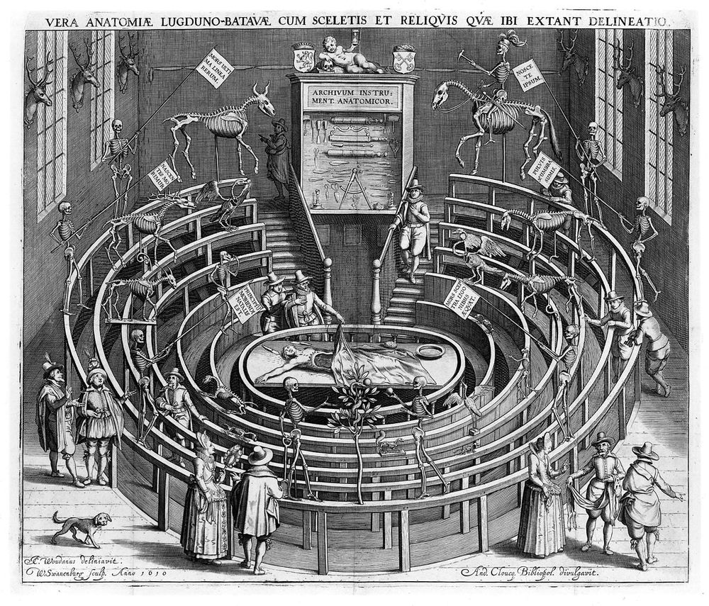 The anatomical theater in Leiden.