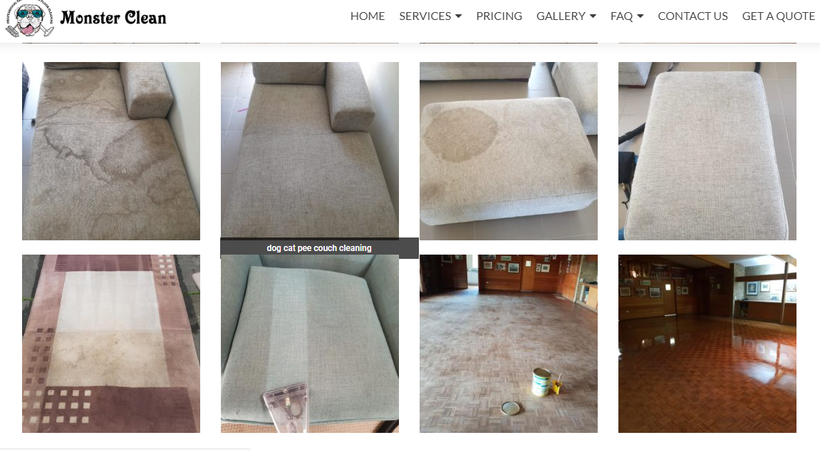 Monster Clean Carpet and Hard Floor Cleaning