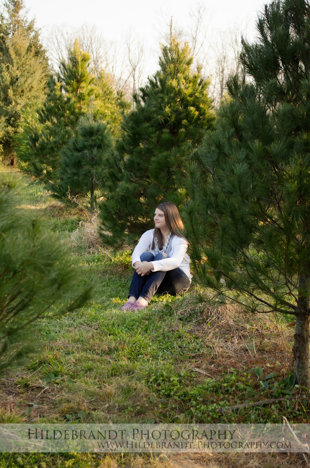 Hildebrandt Photography The Stamey Family \\ Christmas Tree Farm Mini \\ Hanover Pines Tree