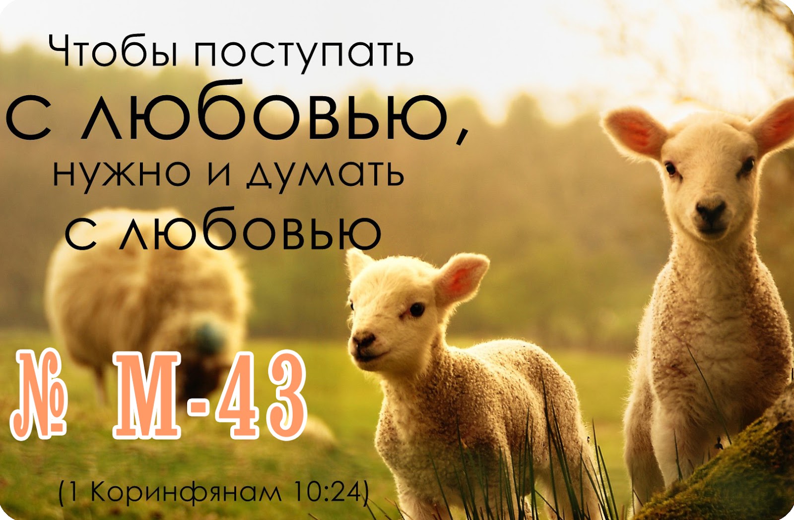 Галерея картинки ободряющие христианские картинки ободряющие христианские
