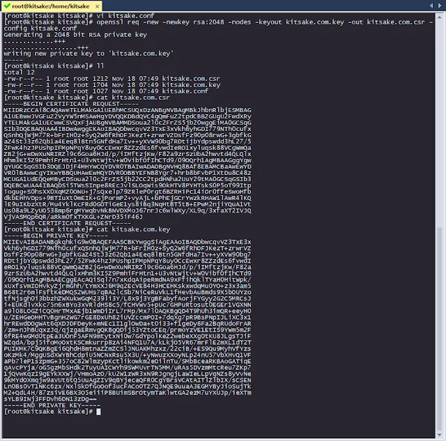 Generate CSR and Private Key with openssl in Linux RHEL 7