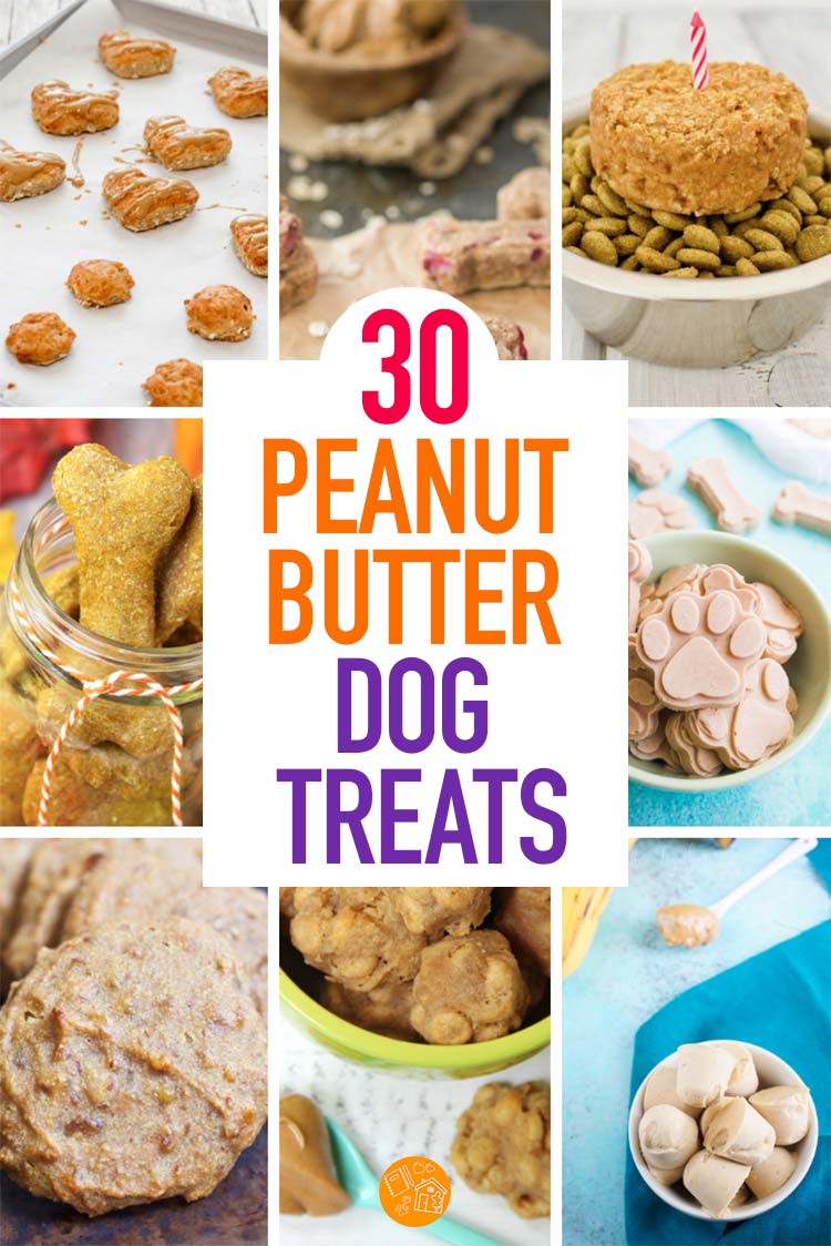 30 Easy Peanut Butter Dog Treat Recipes Your Pup Will Love | Sunny Day ...