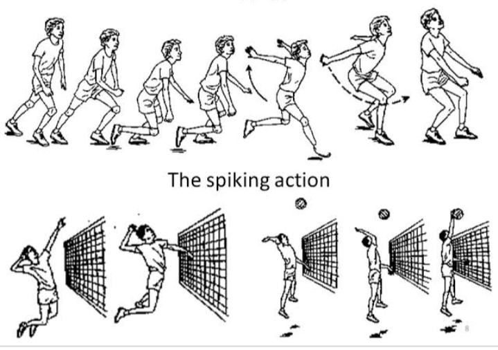 Volleyball Attack 3 Step