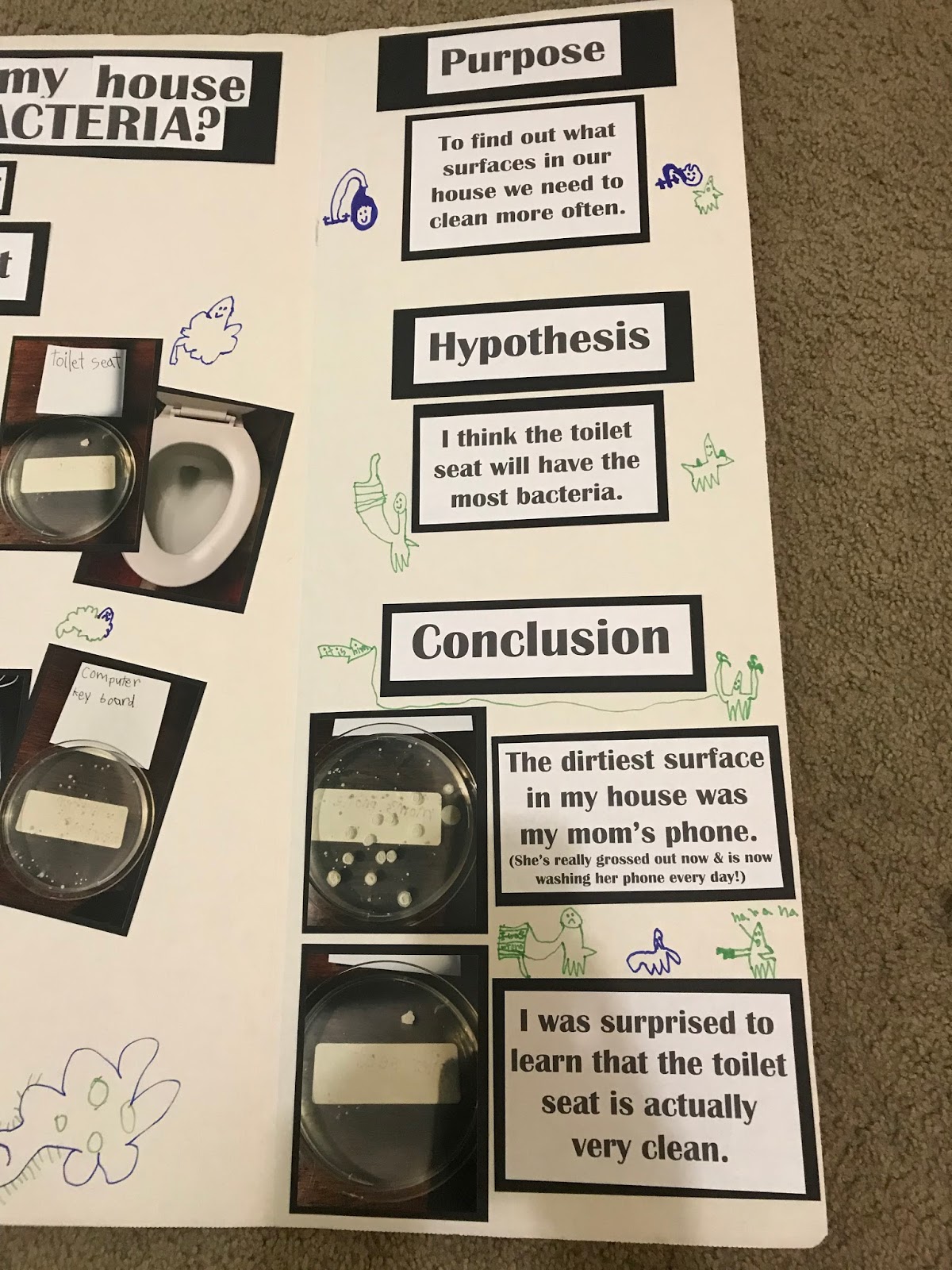 to the Krazy Kingdom Bladen's Science Fair Project "What